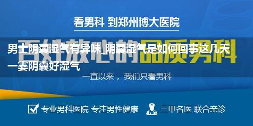 男士阴囊湿气有异味_阴囊湿气是如何回事这几天一霎阴囊好湿气