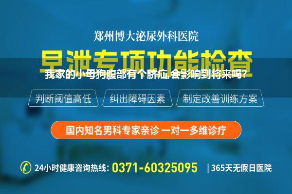 我家的小母狗腹部有个脐疝,会影响到将来吗?